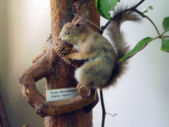 Знакомство с величием природы. Увеличить изображение. Размер файла: 534,16 Kb [800X600]