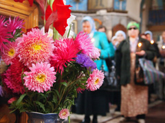 День всемирной радости. Увеличить изображение. Размер файла: 485,19 Kb [800X600]