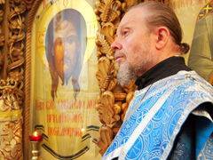 День всемирной радости. Увеличить изображение. Размер файла: 546,03 Kb [800X600]