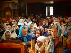 День всемирной радости. Увеличить изображение. Размер файла: 456,58 Kb [800X600]