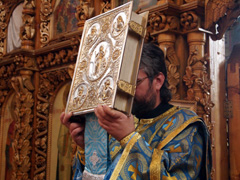 День всемирной радости. Увеличить изображение. Размер файла: 538,42 Kb [800X600]