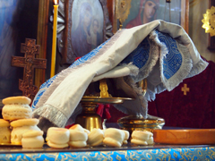 Богослужения в день Казанской иконы Божией Матери. Увеличить изображение. Размер файла: 225,58 Kb [800X600]