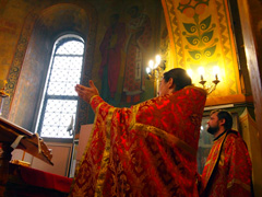 Праздник св. Димитрия Солунского в Боровецком храме. Увеличить изображение. Размер файла: 505,44 Kb [800X600]