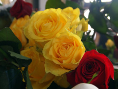 Мощи св. Матроны в Елабуге. Увеличить изображение. Размер файла: 317,07 Kb [800X600]