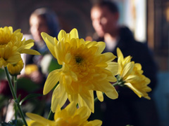 Мощи св. Матроны в Елабуге. Увеличить изображение. Размер файла: 320,58 Kb [800X600]