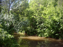 Отдых с пользой для души. Увеличить изображение. Размер файла: 744,51 Kb [800X600]