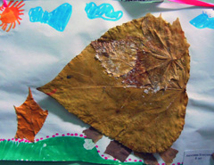 Кожушная Ангелина, 8 лет. Увеличить изображение. Размер файла: 215,49 Kb [800X618]