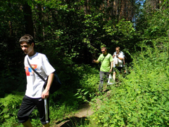 Благодатное купание. Увеличить изображение. Размер файла: 353,75 Kb [800X600]