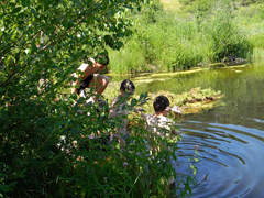 Благодатное купание. Увеличить изображение. Размер файла: 348,64 Kb [800X600]