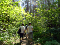 Благодатное купание. Увеличить изображение. Размер файла: 395,35 Kb [800X600]