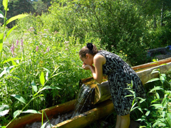 Благодатное купание. Увеличить изображение. Размер файла: 384,34 Kb [800X600]