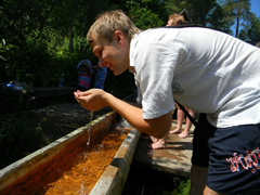 Благодатное купание. Увеличить изображение. Размер файла: 228,52 Kb [800X600]