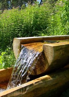 Благодатное купание. Увеличить изображение. Размер файла: 573,37 Kb [800X1123]