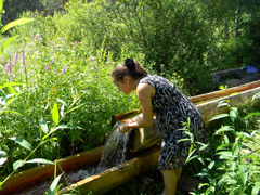 Благодатное купание. Увеличить изображение. Размер файла: 381,83 Kb [800X600]