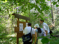 Благодатное купание. Увеличить изображение. Размер файла: 371,67 Kb [800X600]