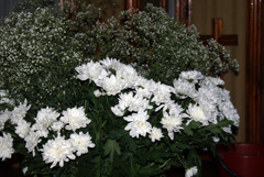 Украшение храма к празднику Рождества Христова. Увеличить изображение. Размер файла: 501,33 Kb [800X536]