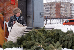 Установка Рождественского вертепа. Увеличить изображение. Размер файла: 443,04 Kb [800X536]