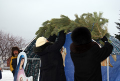 Установка Рождественского вертепа. Увеличить изображение. Размер файла: 378,62 Kb [800X536]