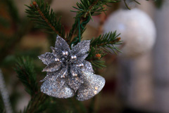 Поздняя рождественская литургия. Увеличить изображение. Размер файла: 409,37 Kb [800X536]