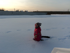 Поход на лыжную базу. Увеличить изображение. Размер файла: 263,23 Kb [800X600]