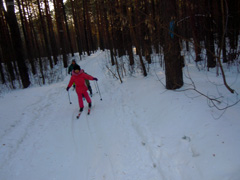 Поход на лыжную базу. Увеличить изображение. Размер файла: 392,16 Kb [800X600]