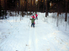 Поход на лыжную базу. Увеличить изображение. Размер файла: 468,22 Kb [800X600]