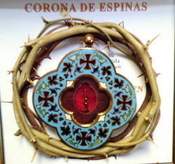 Шип тернового венца Иисуса Христа. Размер изображения: 221,33 Kb [693X649]
