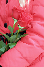 1401,97 Kb [1200X1798]